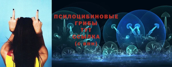 синтетический гашиш Алексин