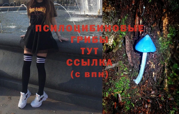синтетический гашиш Алексин